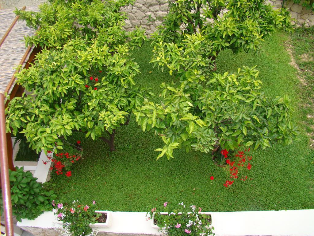 Apartments Villa Sunce Dugi Rat Kültér fotó
